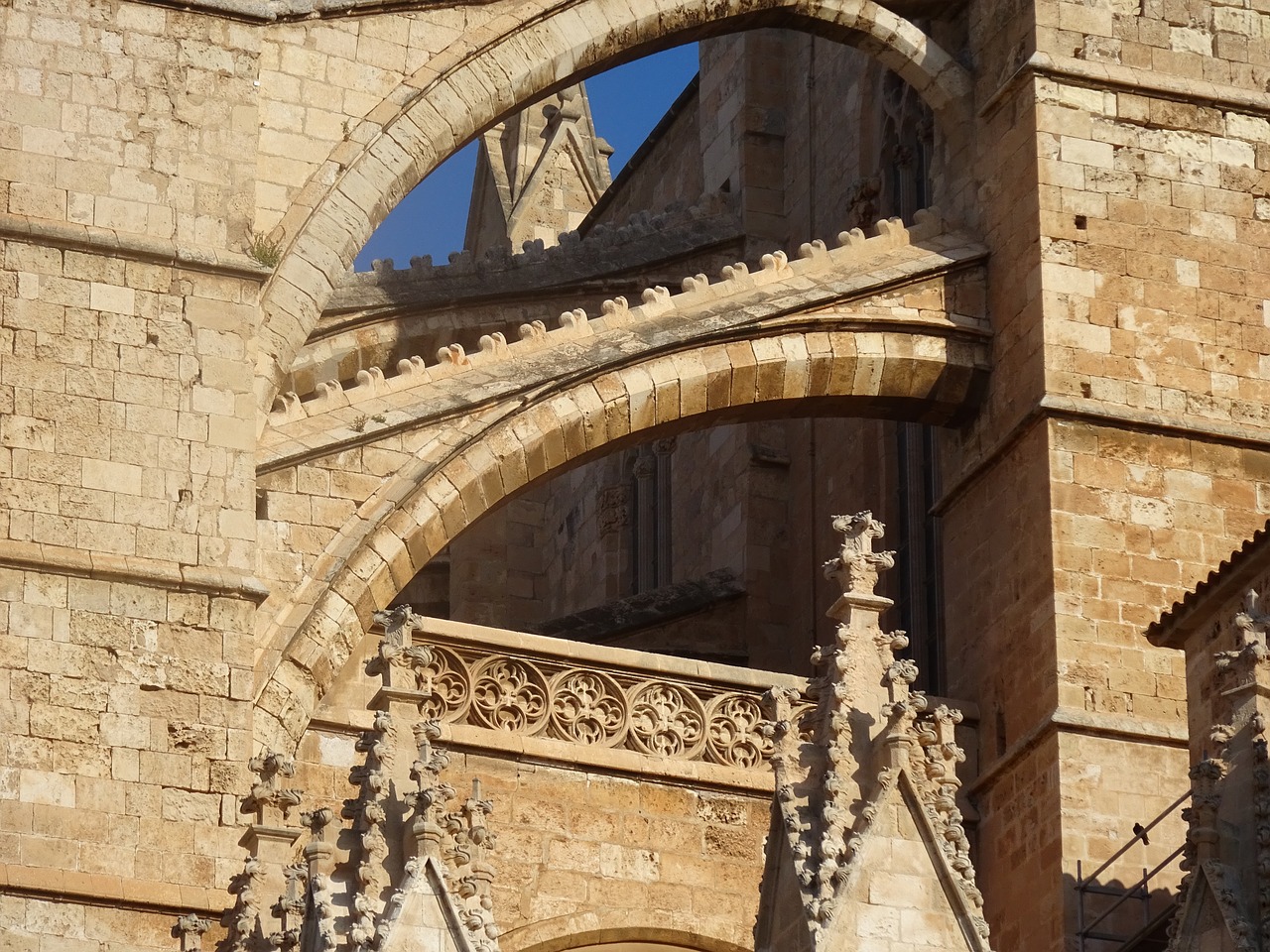 cathedral palma mallorca free photo