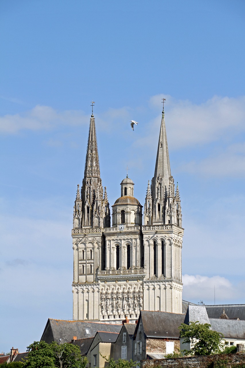 cathedral city of angers france free photo