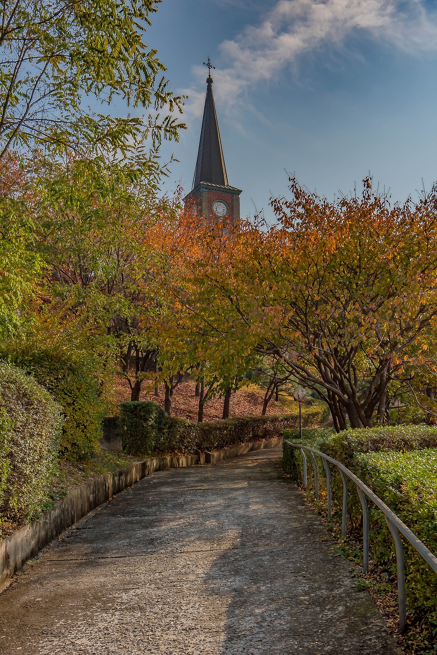 cathedral autumn roman catholic free photo