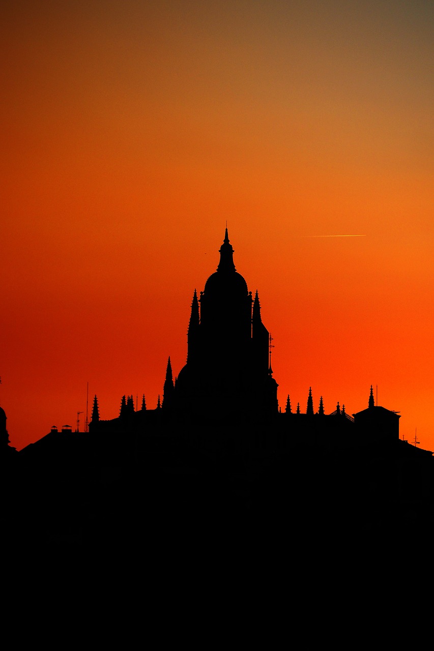 cathedral  segovia  profile free photo