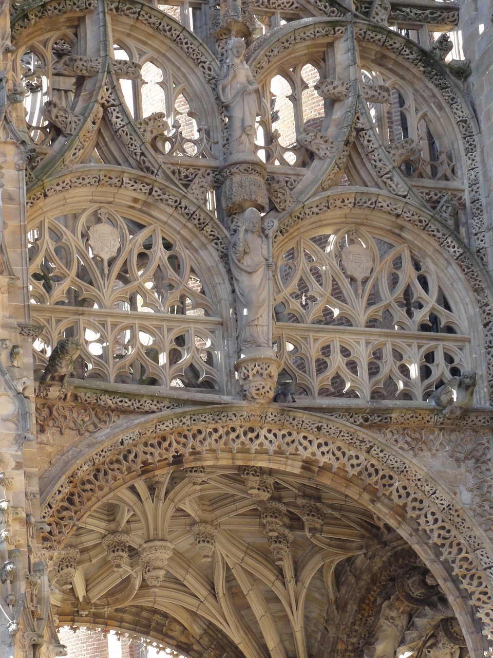 cathedral  france  albi free photo