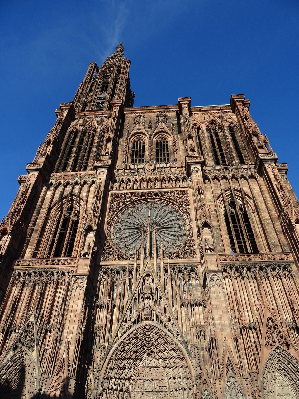 cathedral strasbourg alsace free photo