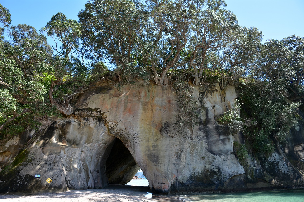 cathedral cove new zealand cave free photo