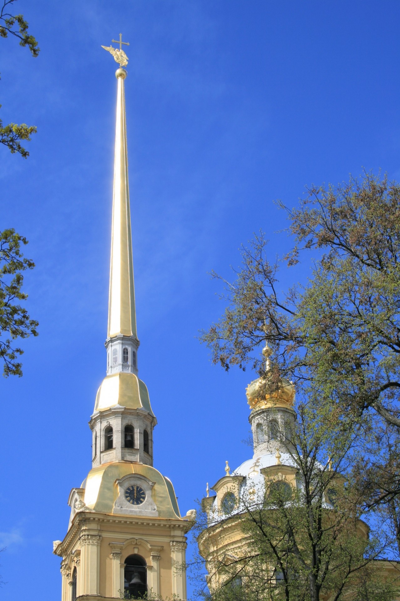 spire cathedral gold free photo