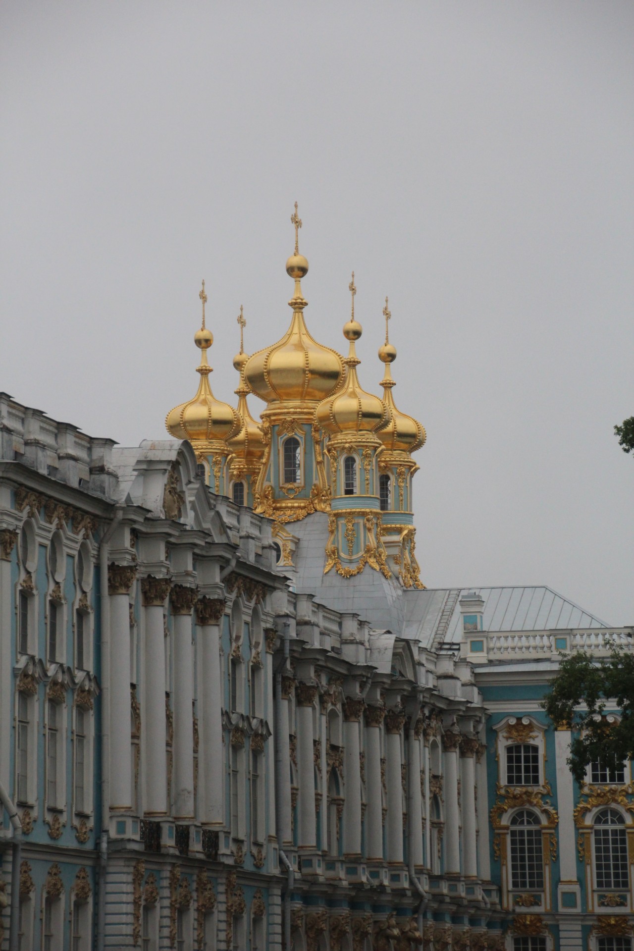 palace russia catherine's palace - st. petersburg free photo