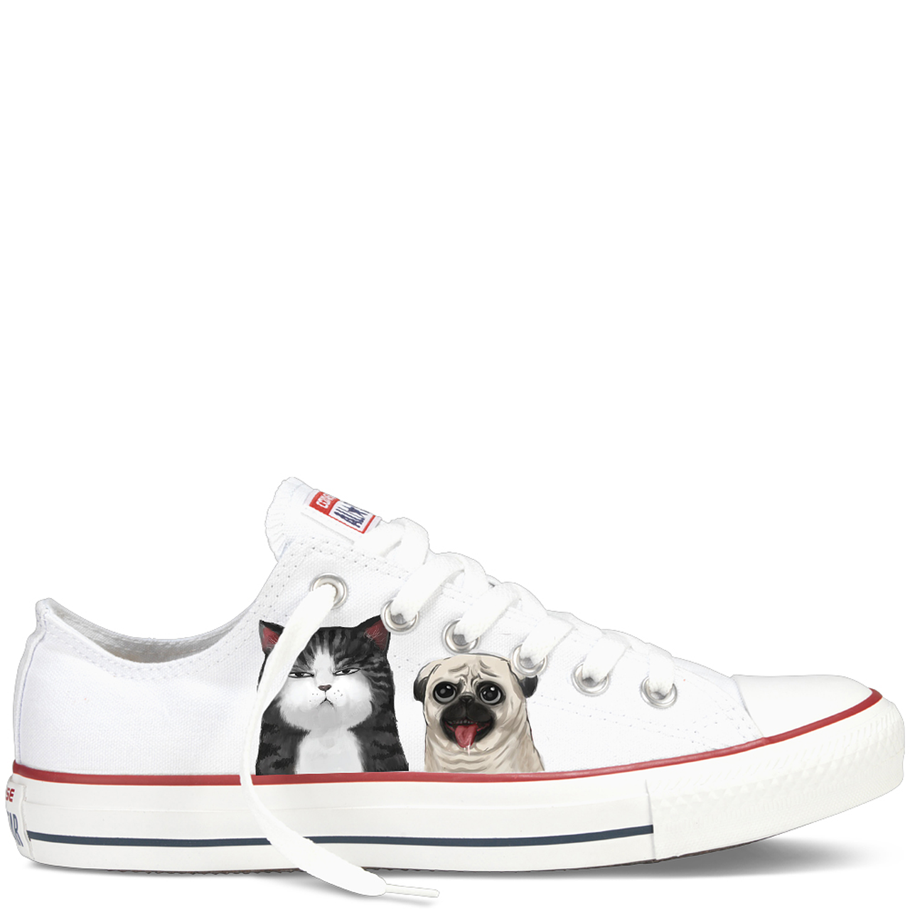 cats  dog  shoes free photo