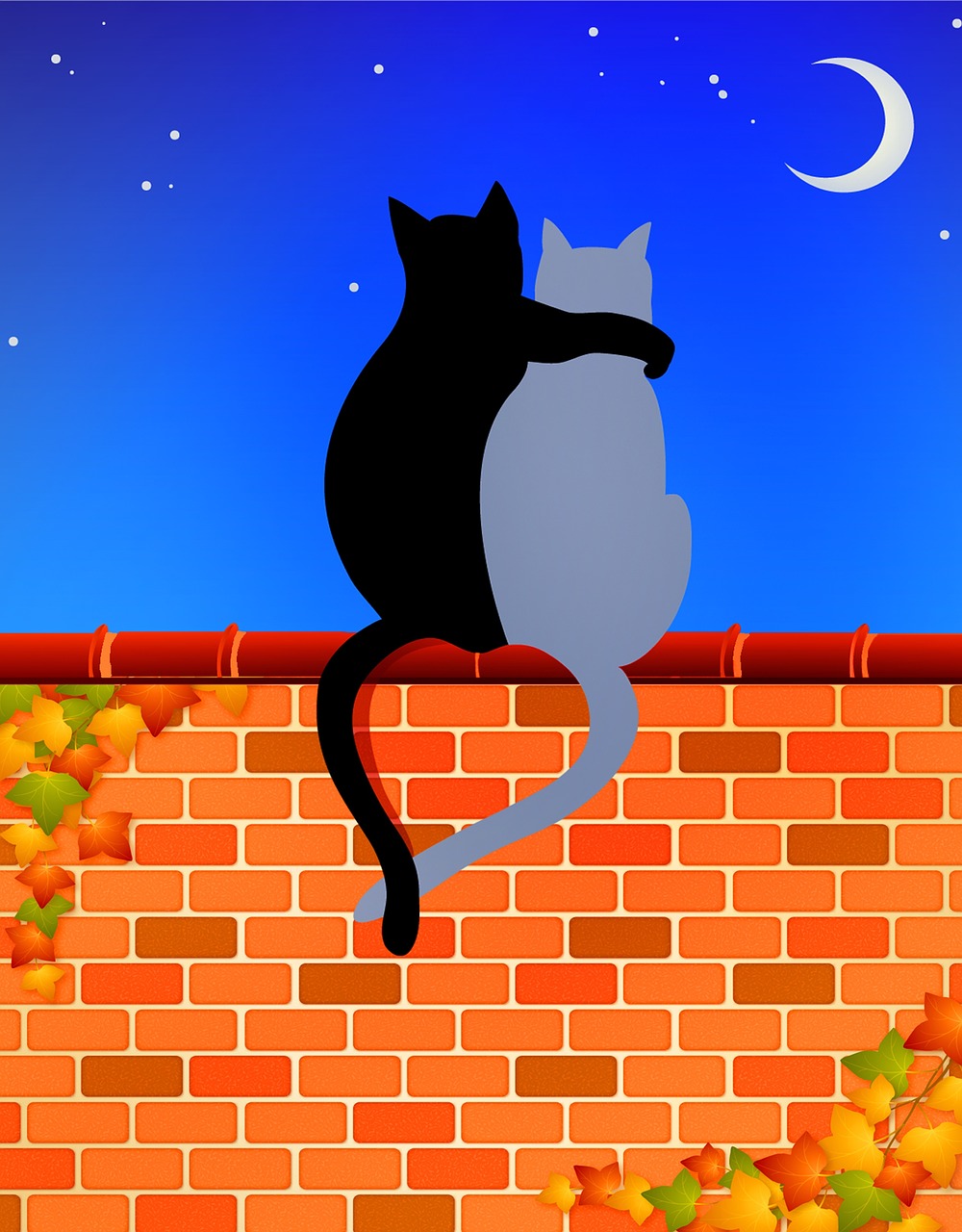 cats on brick wall  cat lovers  moon free photo