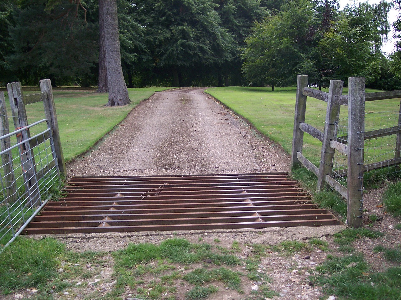 cattle grid countryside north downs free photo