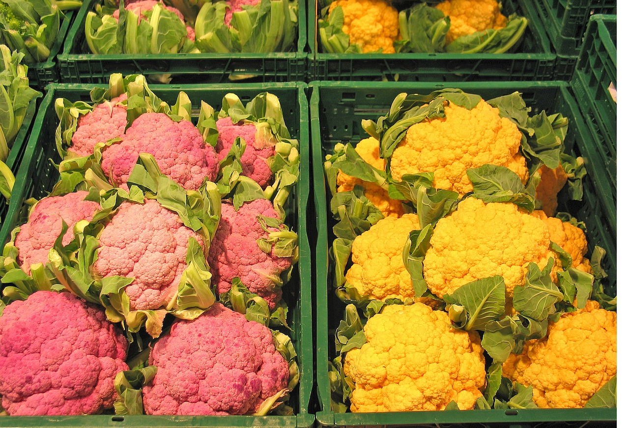 cauliflower new new breeding free photo