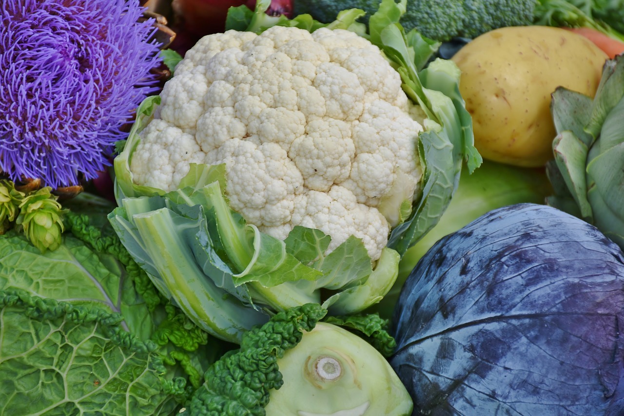 cauliflower red cabbage savoy free photo