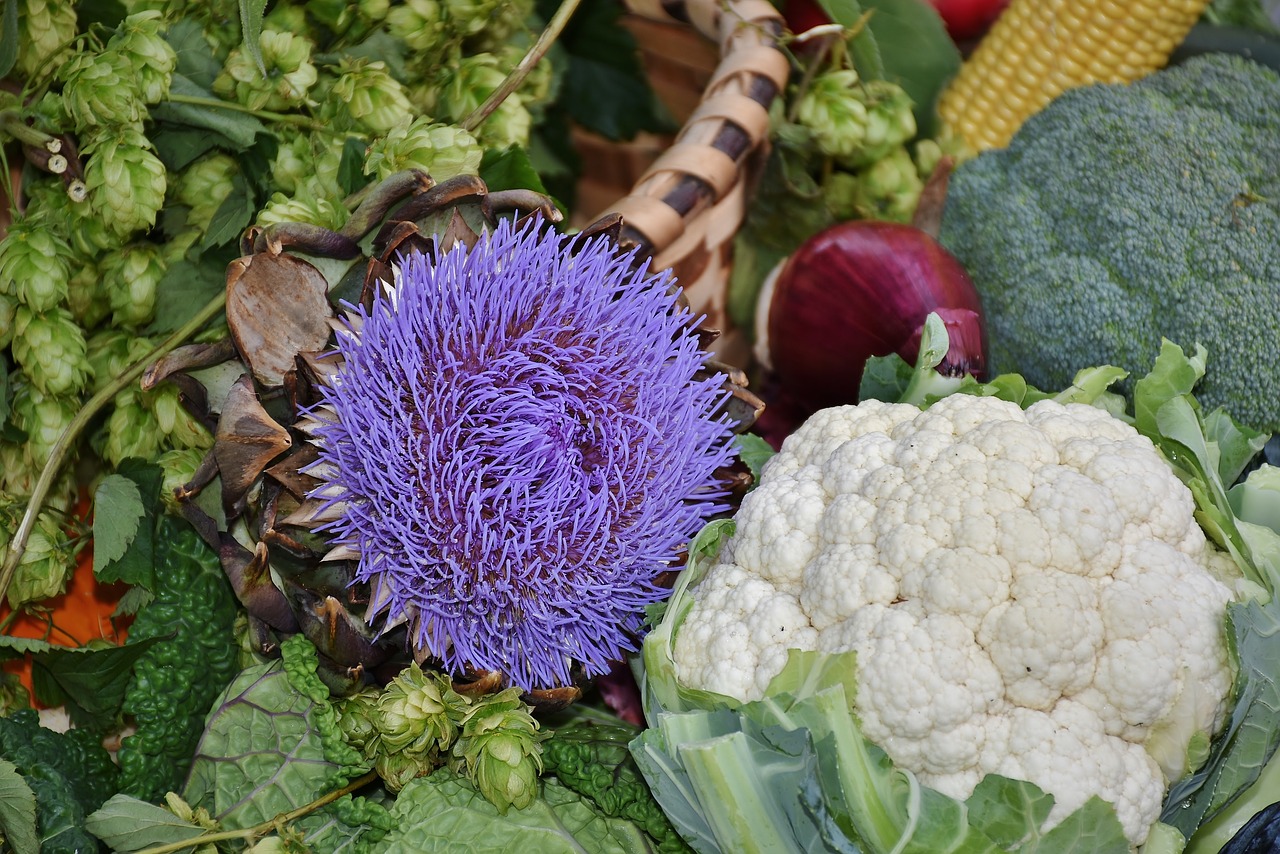 cauliflower red cabbage savoy free photo