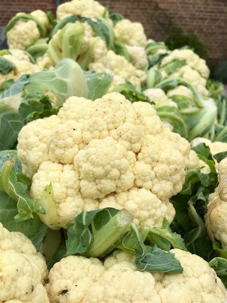 cauliflower  cabbage  food free photo