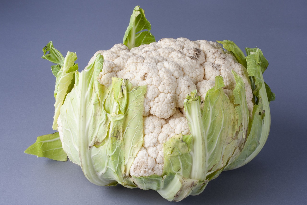 cauliflower  vegetable  white free photo