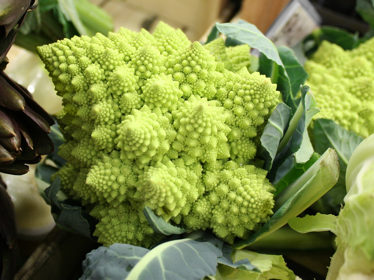 cauliflower vegetable vegetables free photo