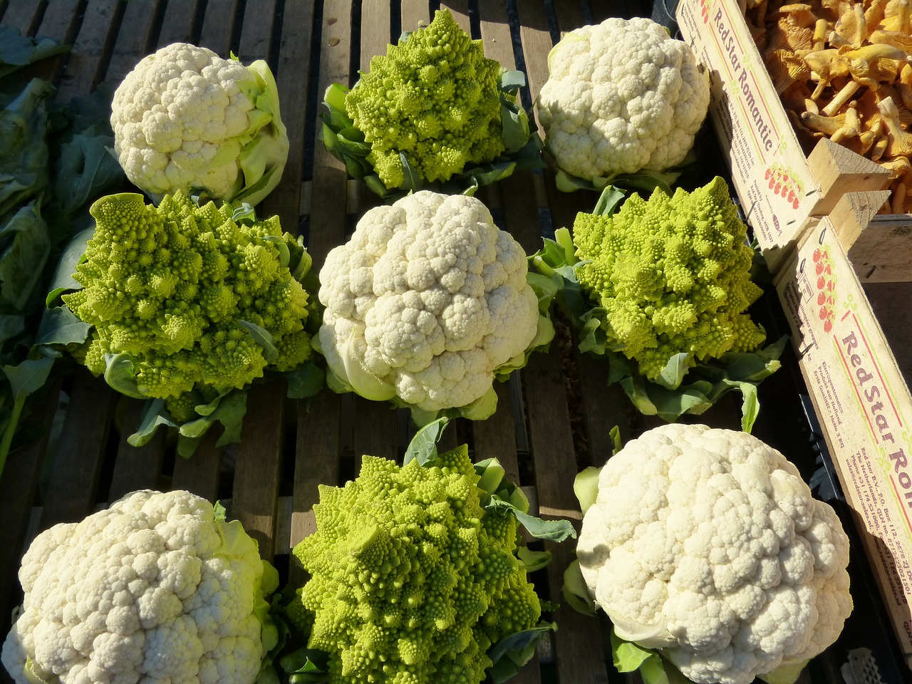 cauliflower kohl cabbage free photo