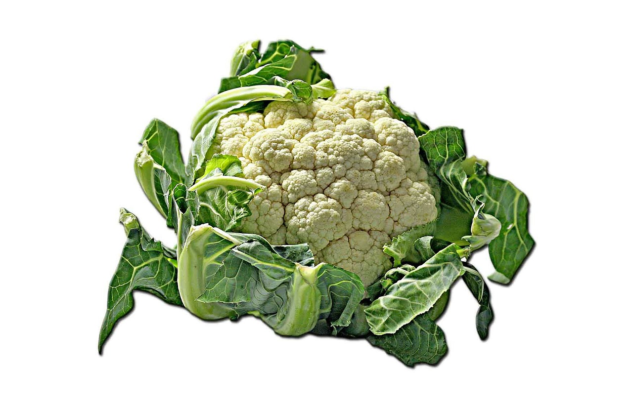 cauliflower kohl cheese cabbage free photo