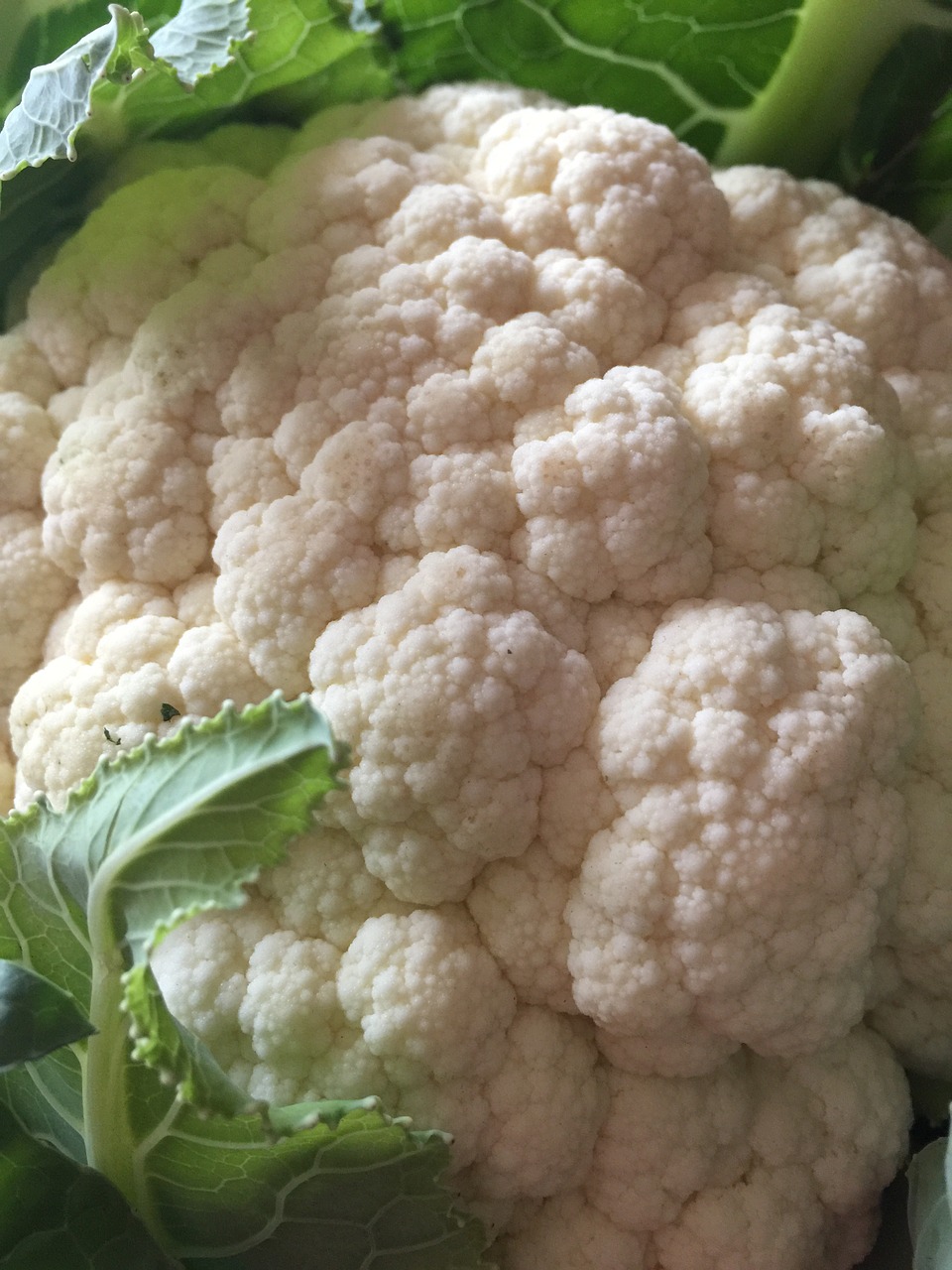 cauliflower healthy vegetables free photo