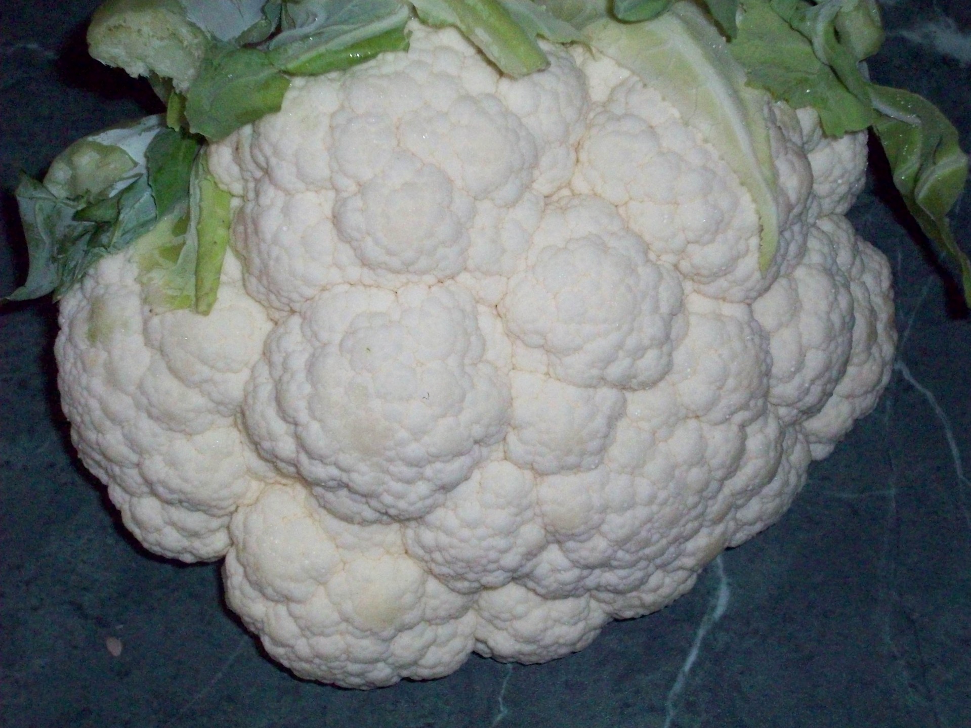 cauliflower vegetable fresh cauliflower free photo