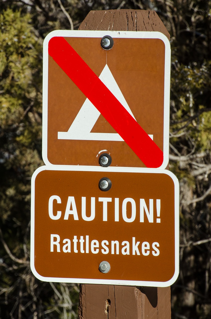 caution rattlesnakes rattlesnake warning free photo