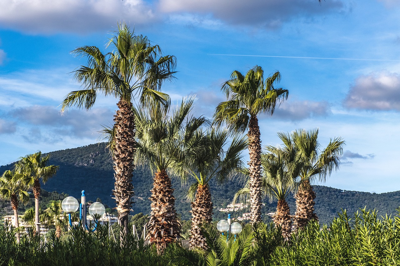 cavalaire sur mer  france  french riviera free photo