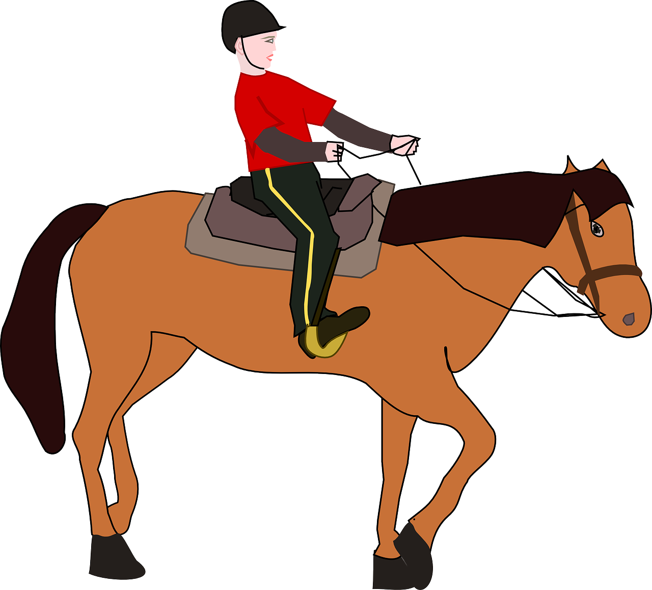 cavalier horseman equestrian free photo