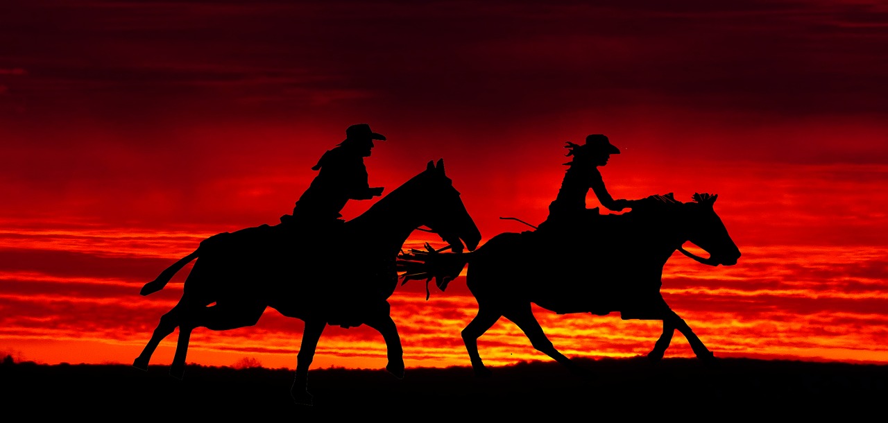cavalry  sunset  cut free photo