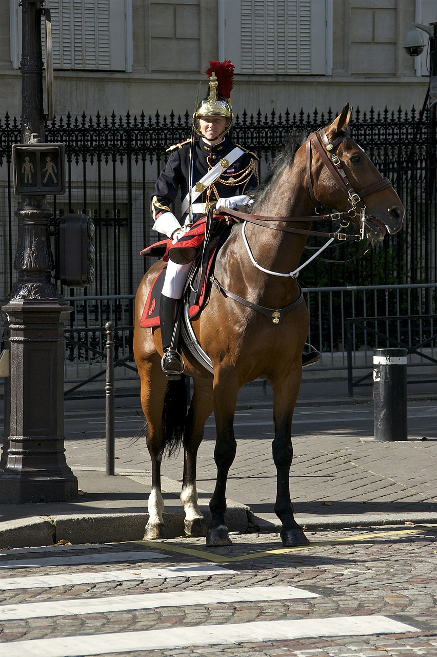 cavalry horse military free photo