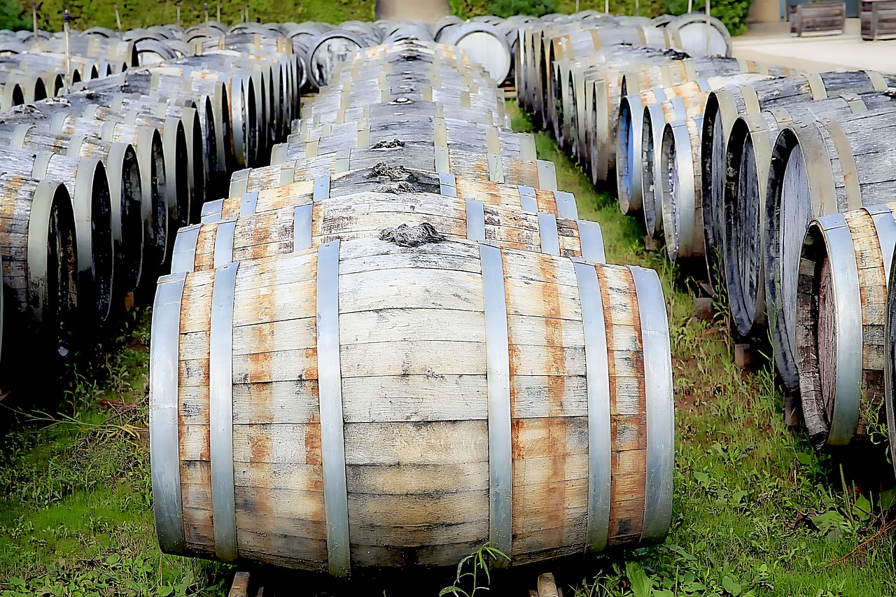 cave wine barrels free photo