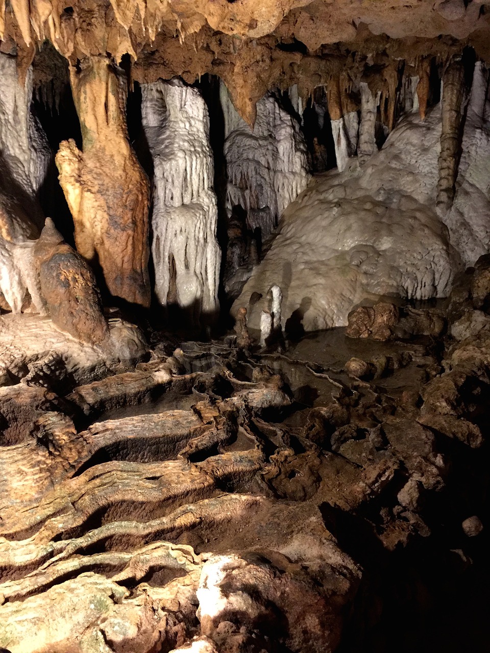 cave fossil underground free photo