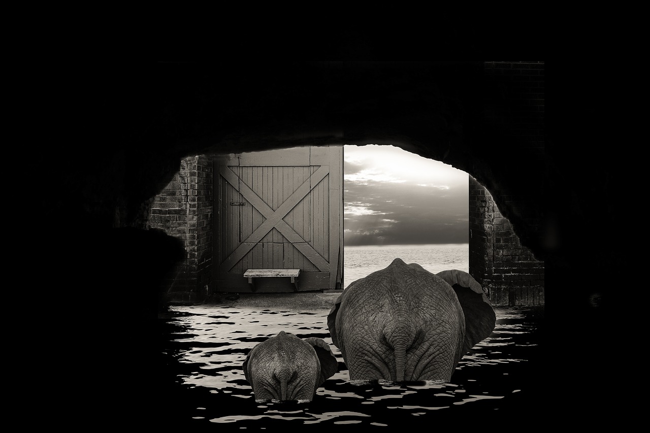 cave elephant door free photo