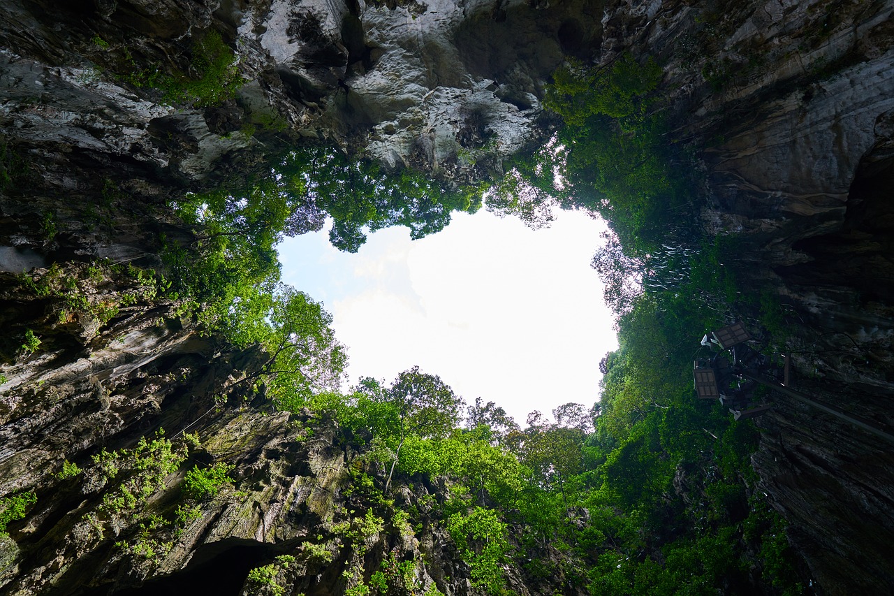 cave nature tree free photo