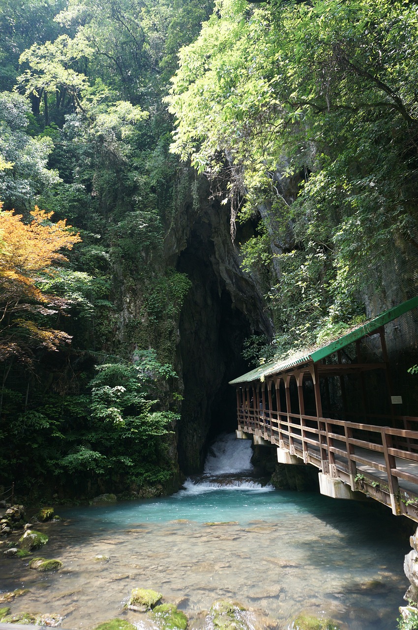 cave akiyoshi do cave japan free photo