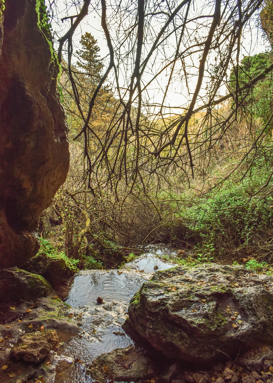 cave  creek  stream free photo