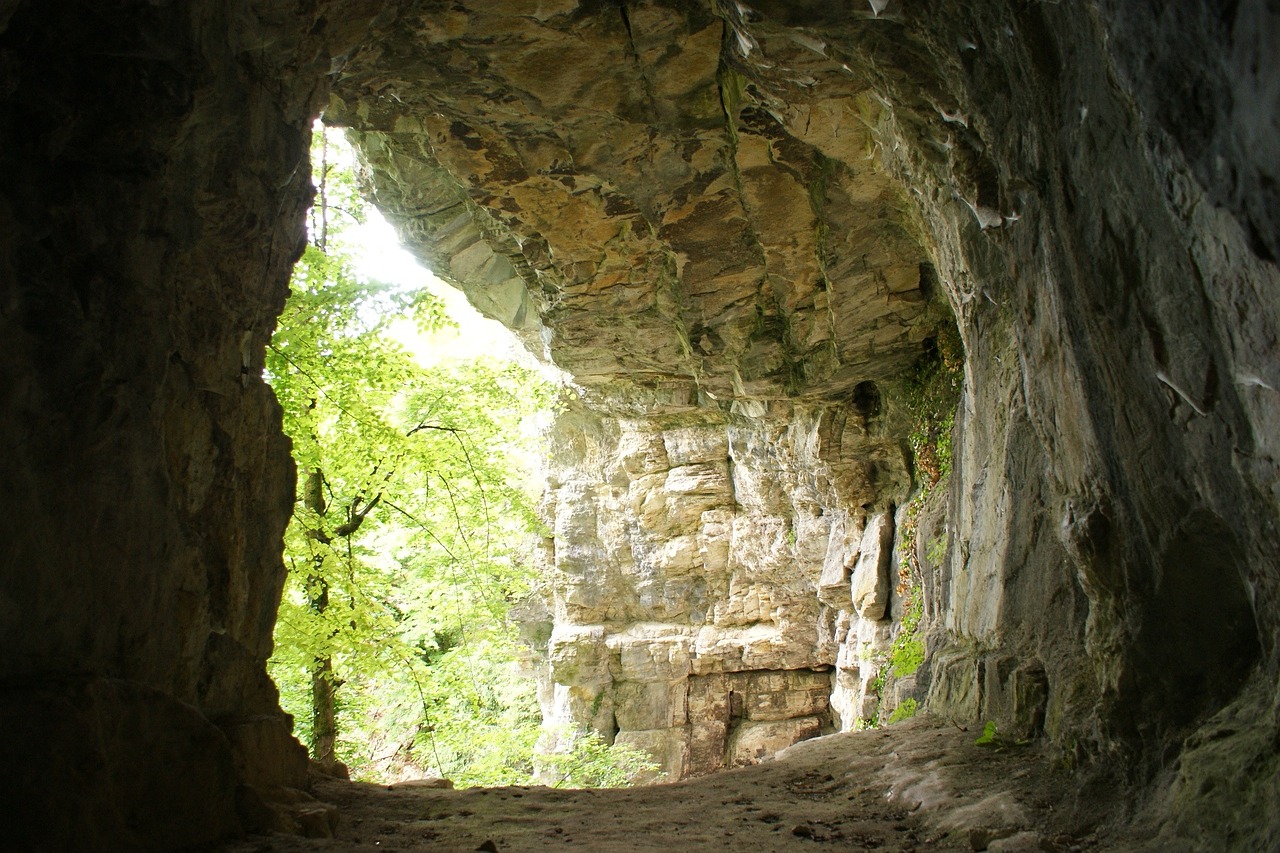 cave tree nature free photo