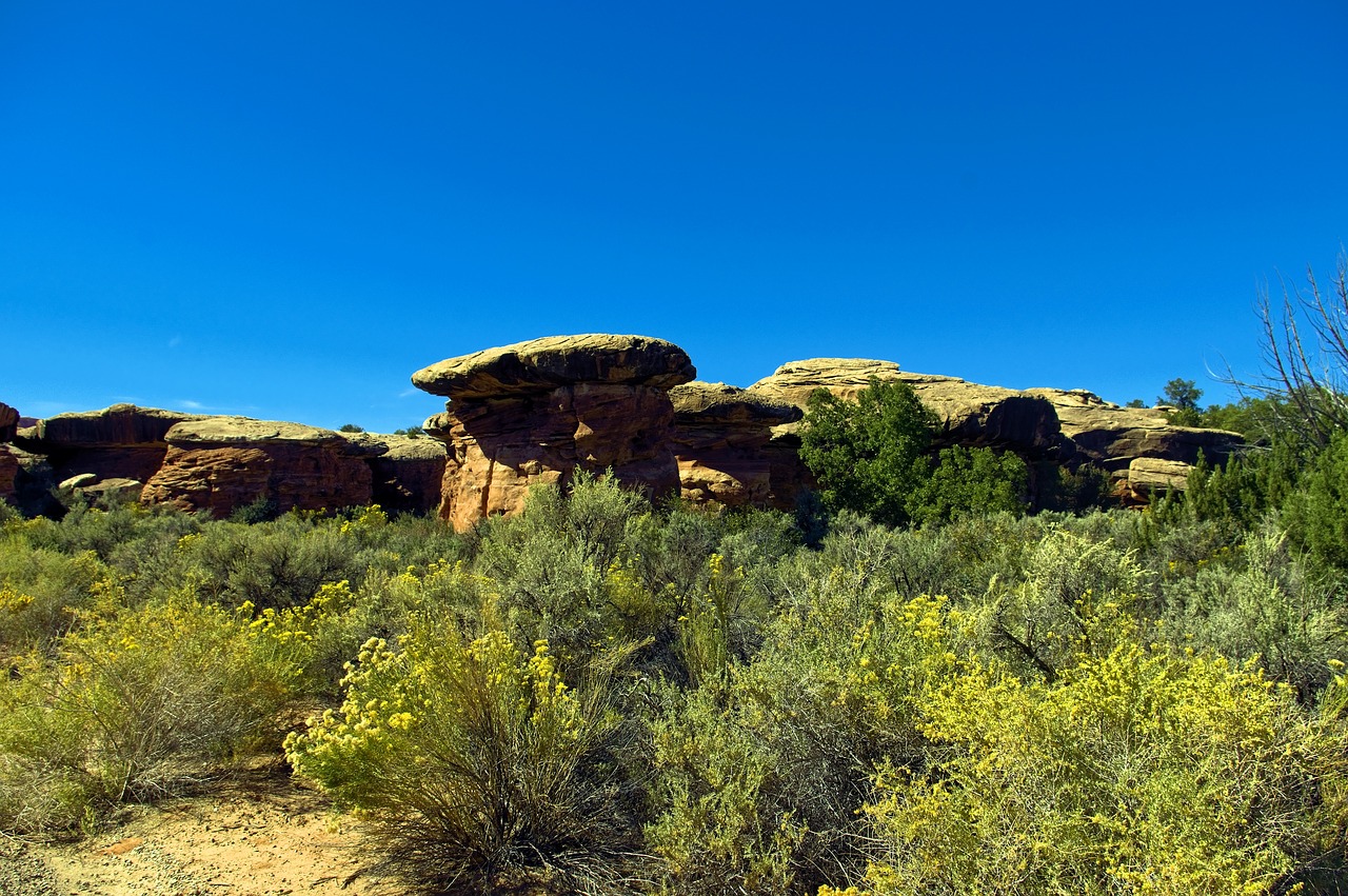 cave spring road formations  needles district  canyonlands national park free photo