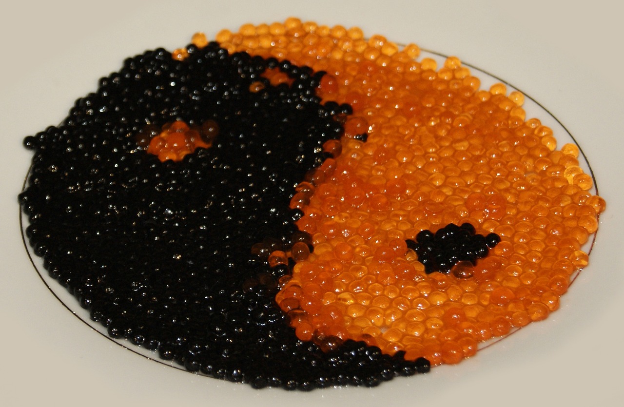 caviar red caviar black caviar free photo