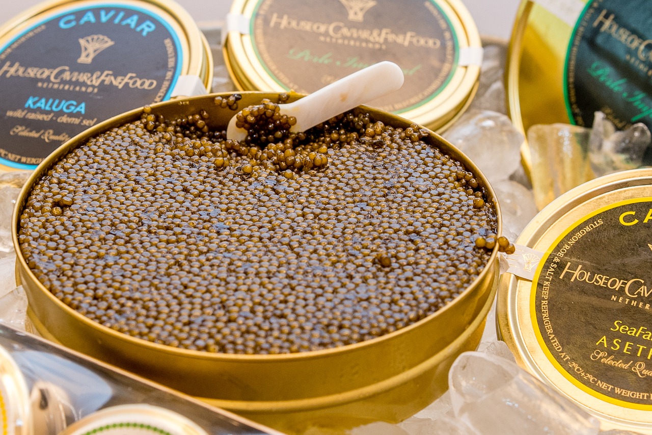 caviar delicacy eat free photo