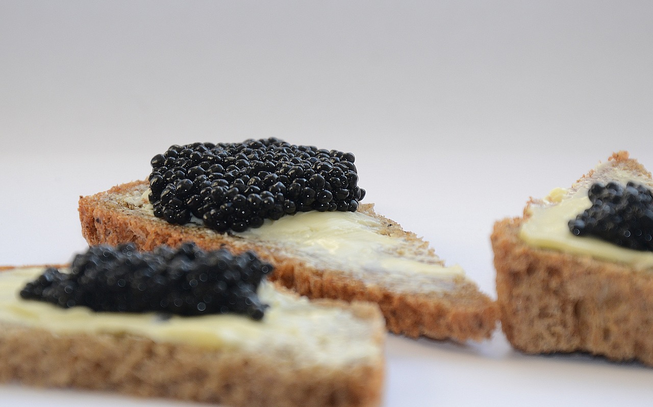 caviar black caviar a sandwich free photo