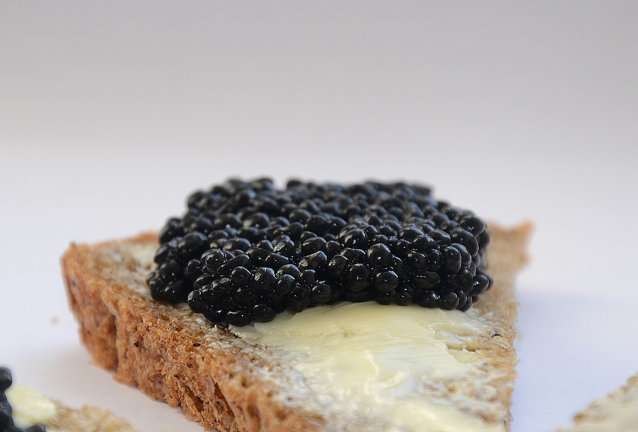 caviar black caviar a sandwich free photo