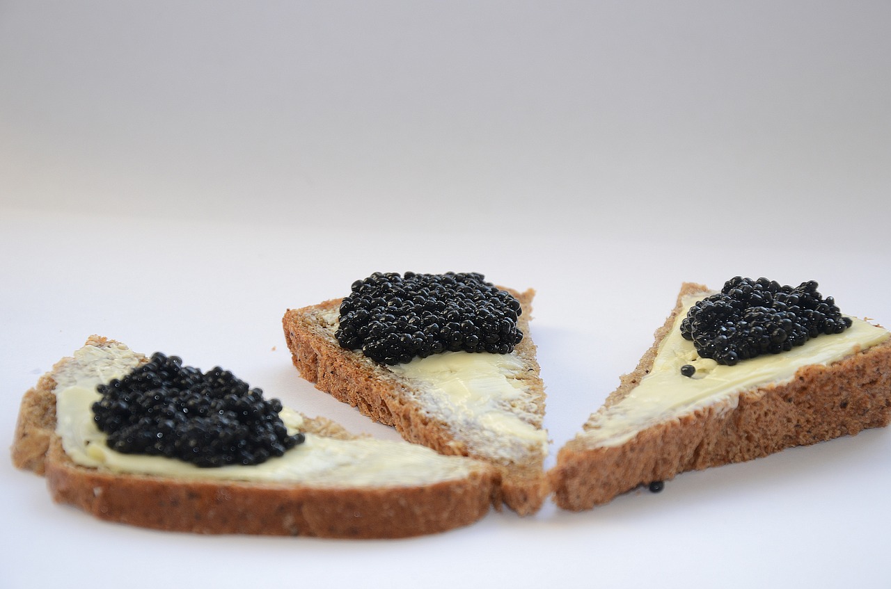 caviar black caviar a sandwich free photo