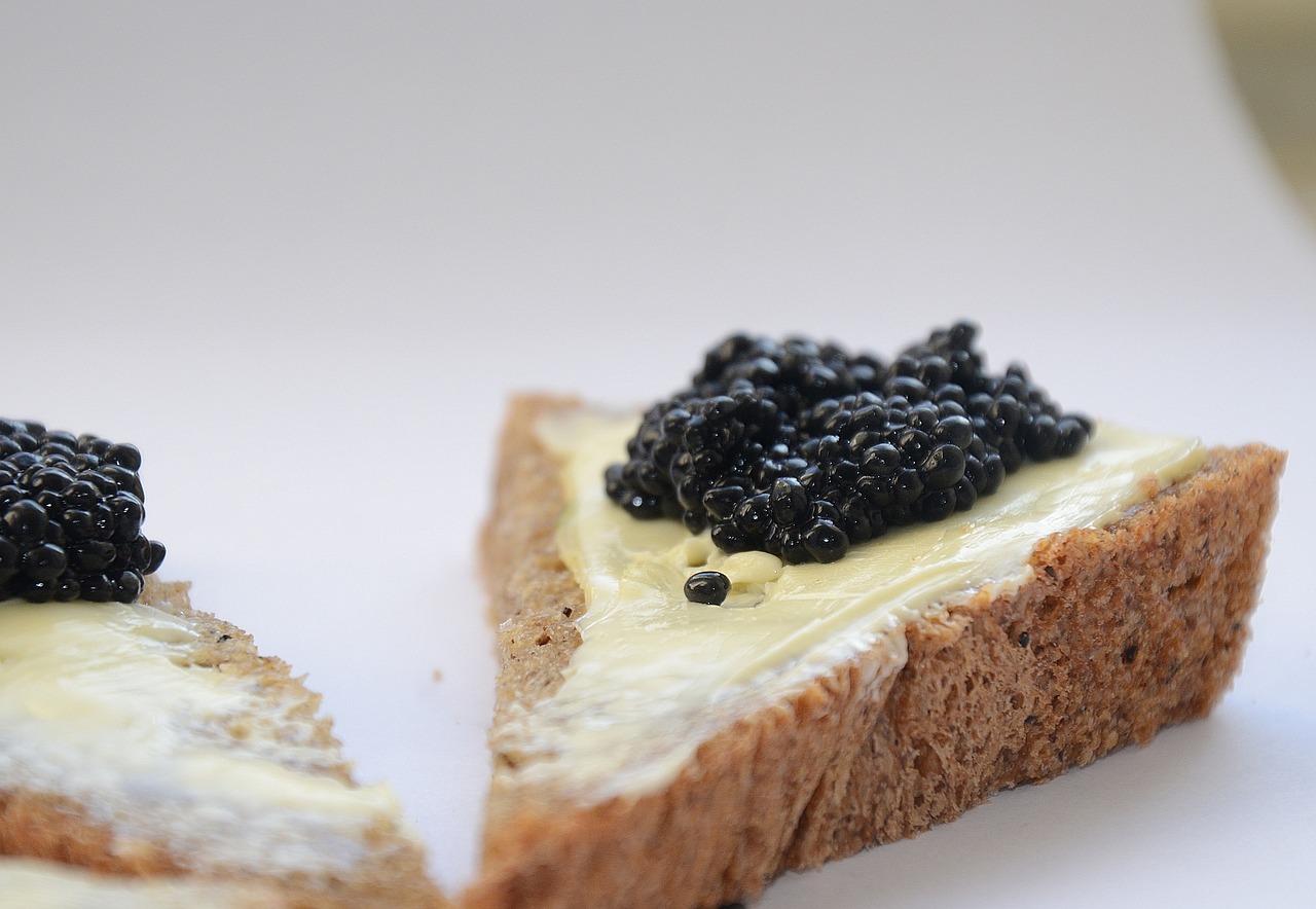 caviar black caviar a sandwich free photo