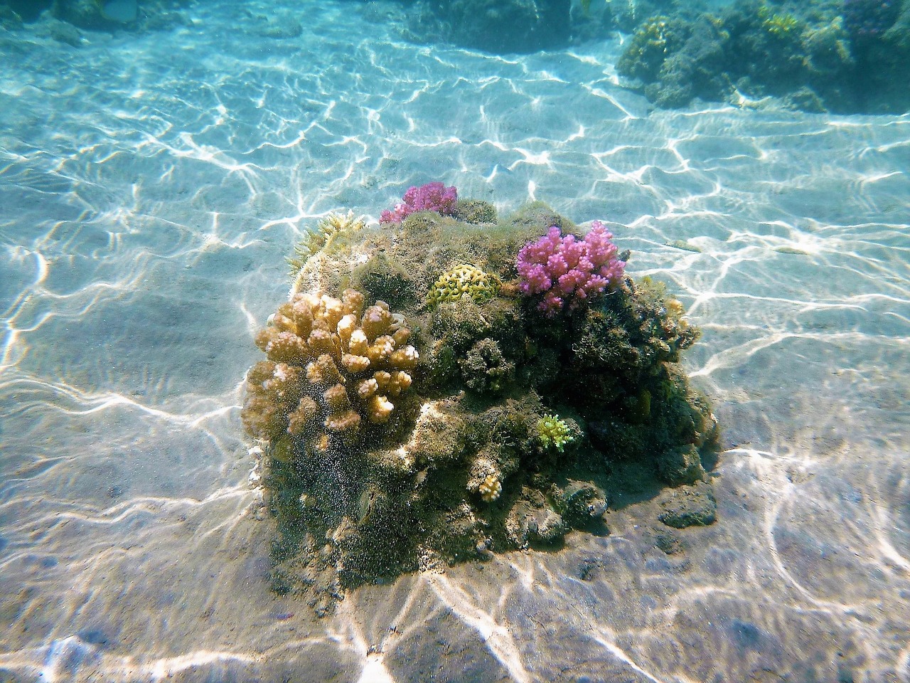 cay underwater seabed free photo