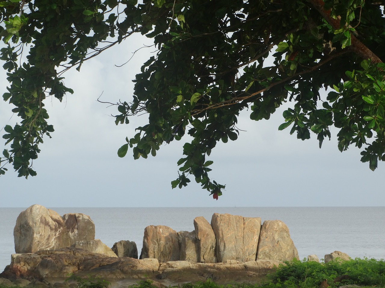 cayenne french guiana coastal views free photo