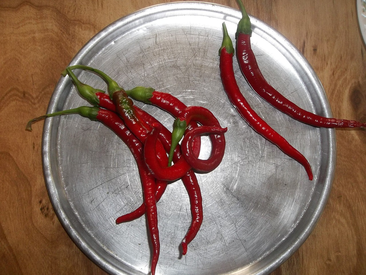 cayenne peppers hot free photo