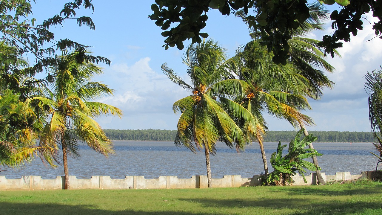 cayenne river landscape end of afternoon free photo
