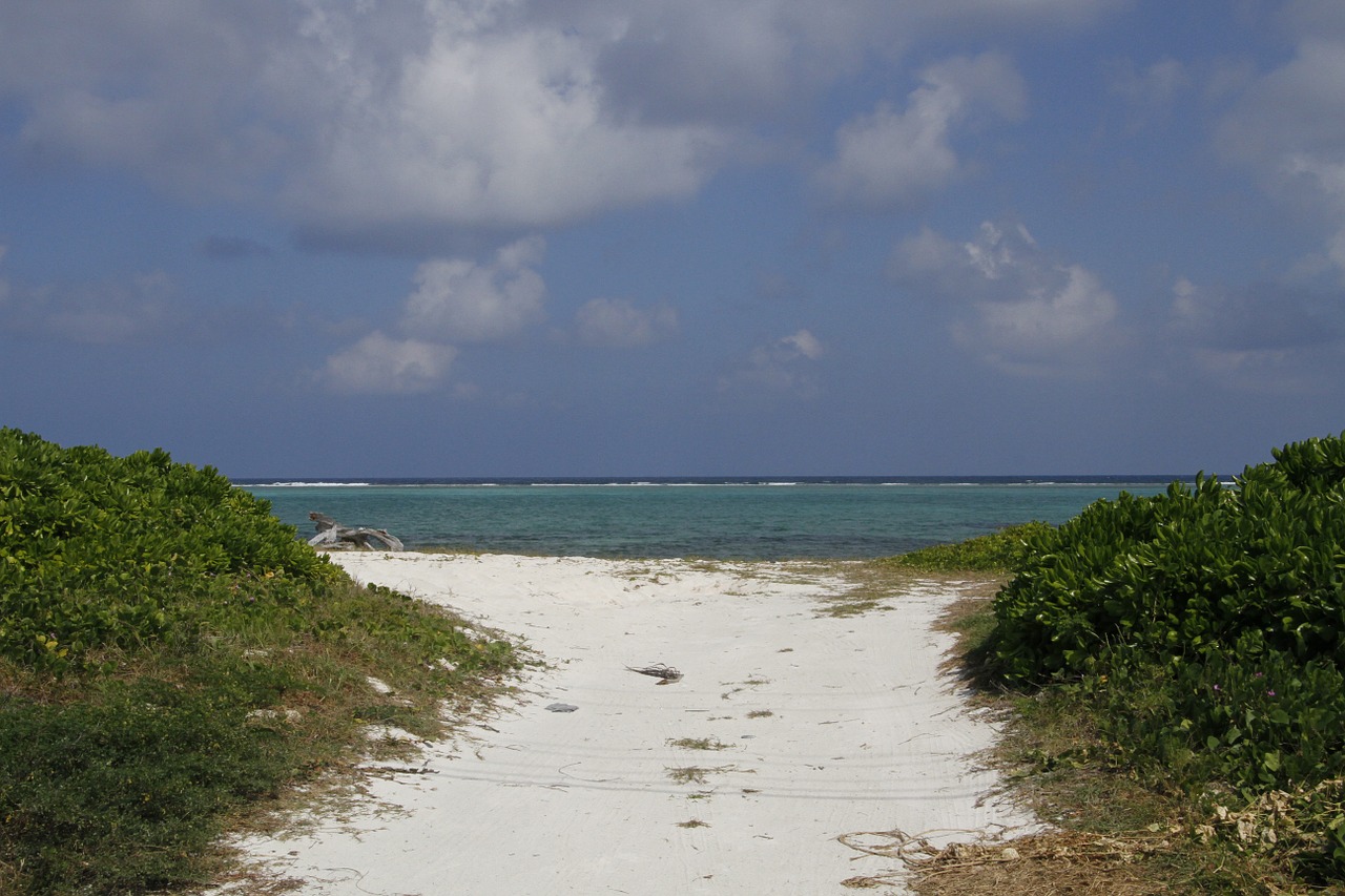 cayman islands island sand free photo