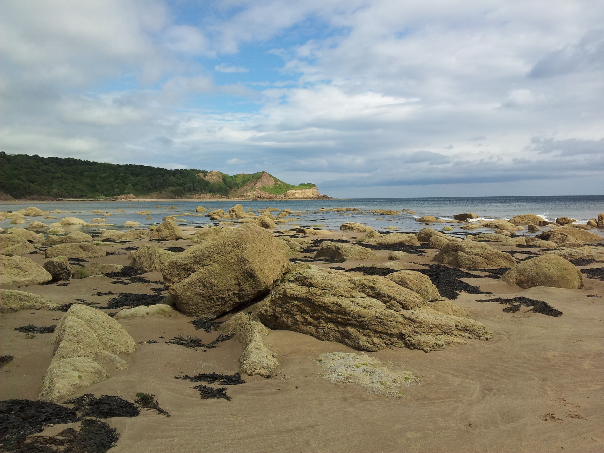 beach sea cliffs free photo