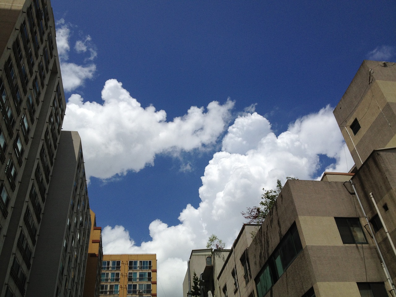 cbd sky parking free photo