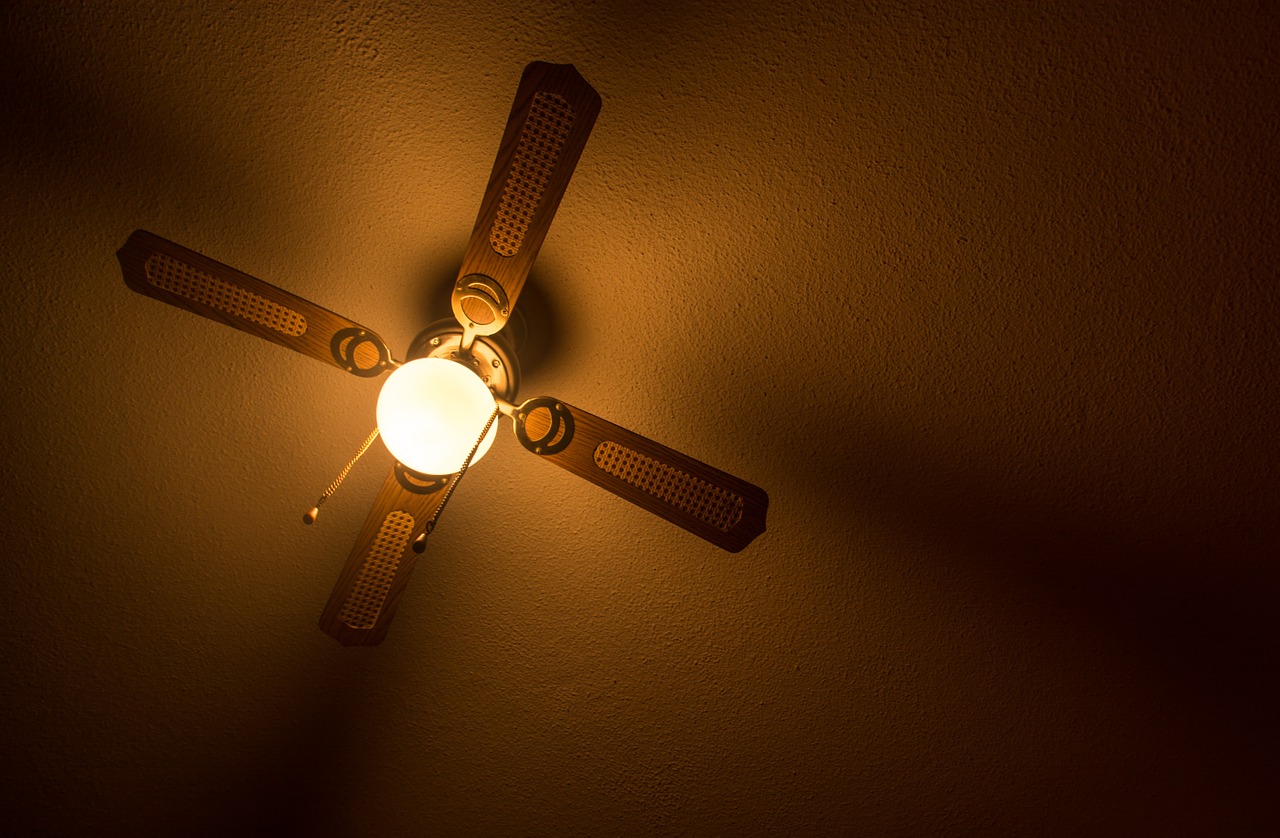 ceiling lamp fan free photo