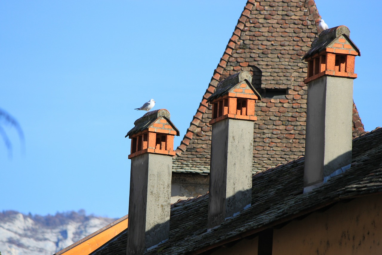 ceiling seagull fireplace free photo